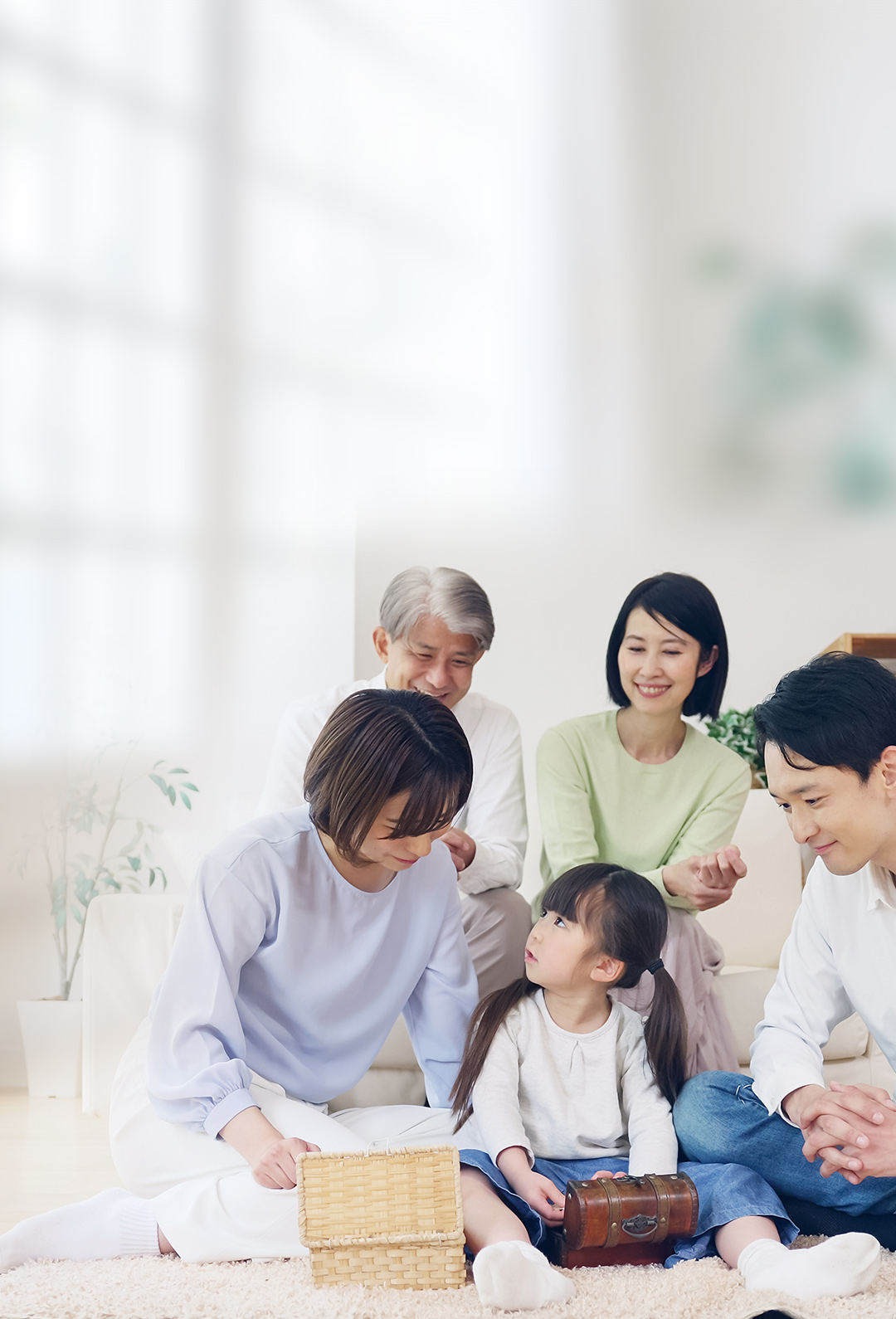 除甲醛，就找希望树