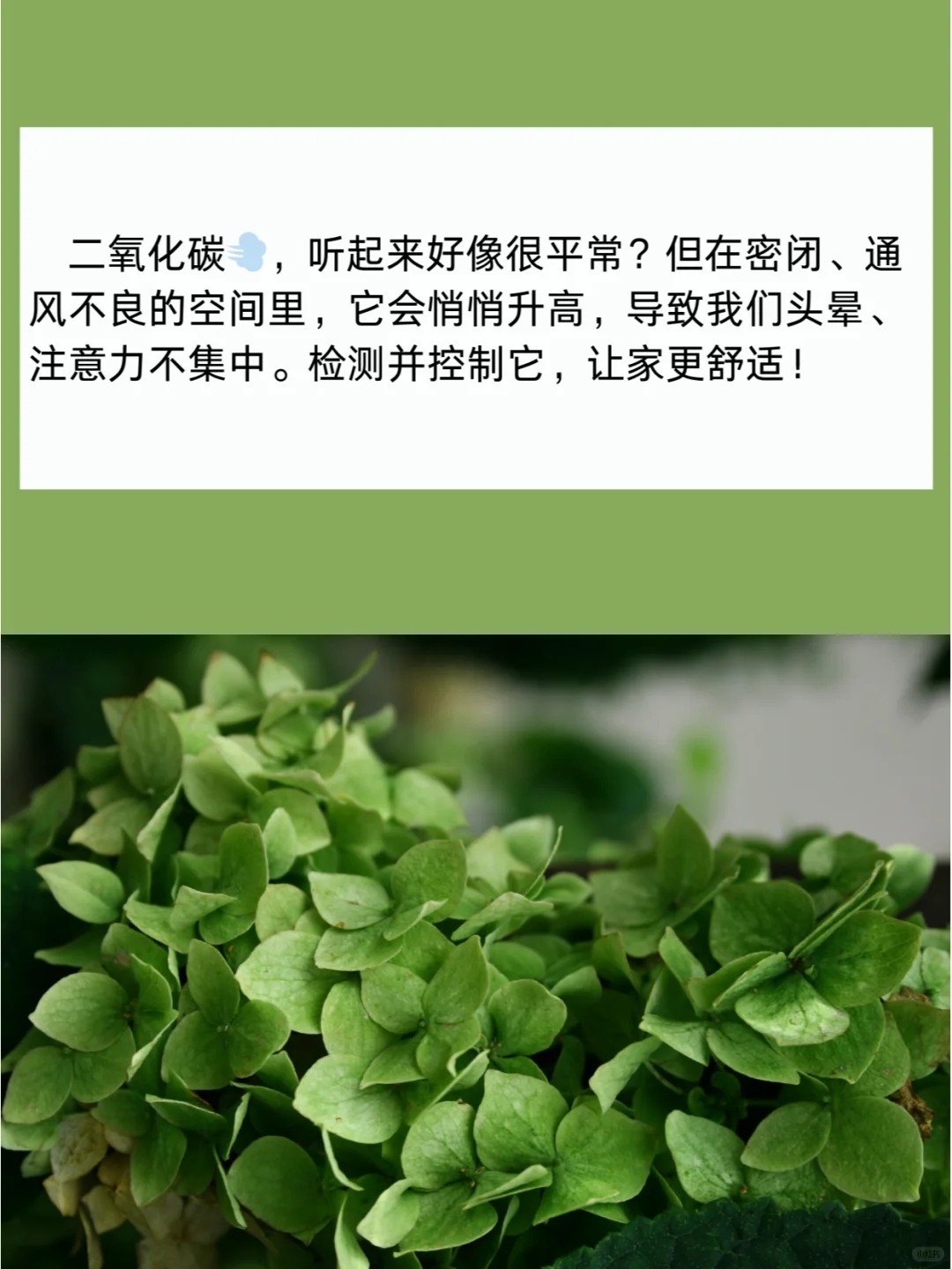 室内空气检测都是检测些什么呢？_6_阿Jane的检测中心_来自小红书网页版.jpg