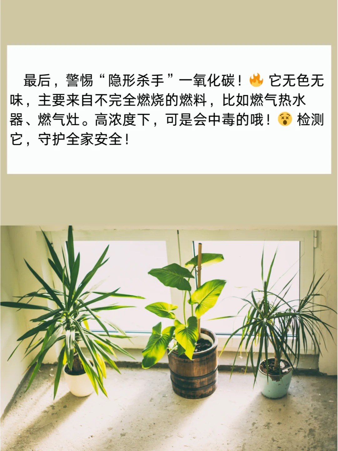 室内空气检测都是检测些什么呢？_8_阿Jane的检测中心_来自小红书网页版.jpg
